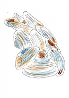 http://www.francesleeceramics.com/files/gimgs/th-42_muscle shells- Lossiemouth-web.jpg